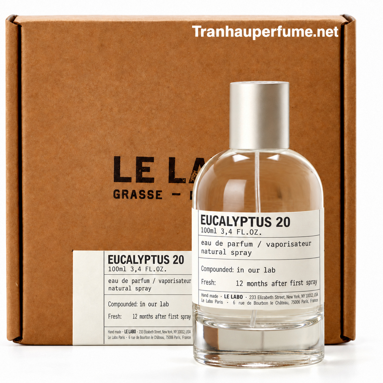 EUCALYPTUS 20