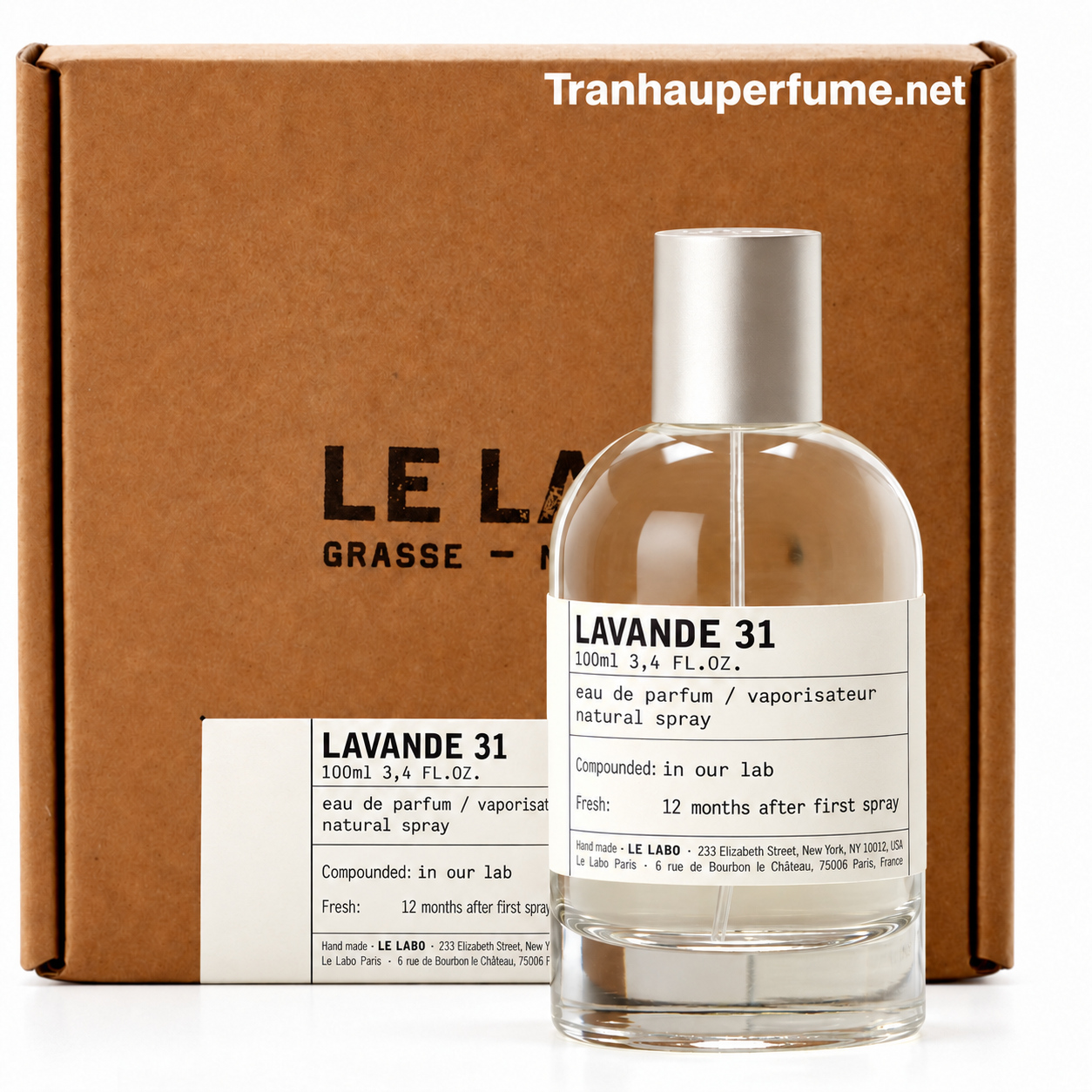 LAVANDE 31