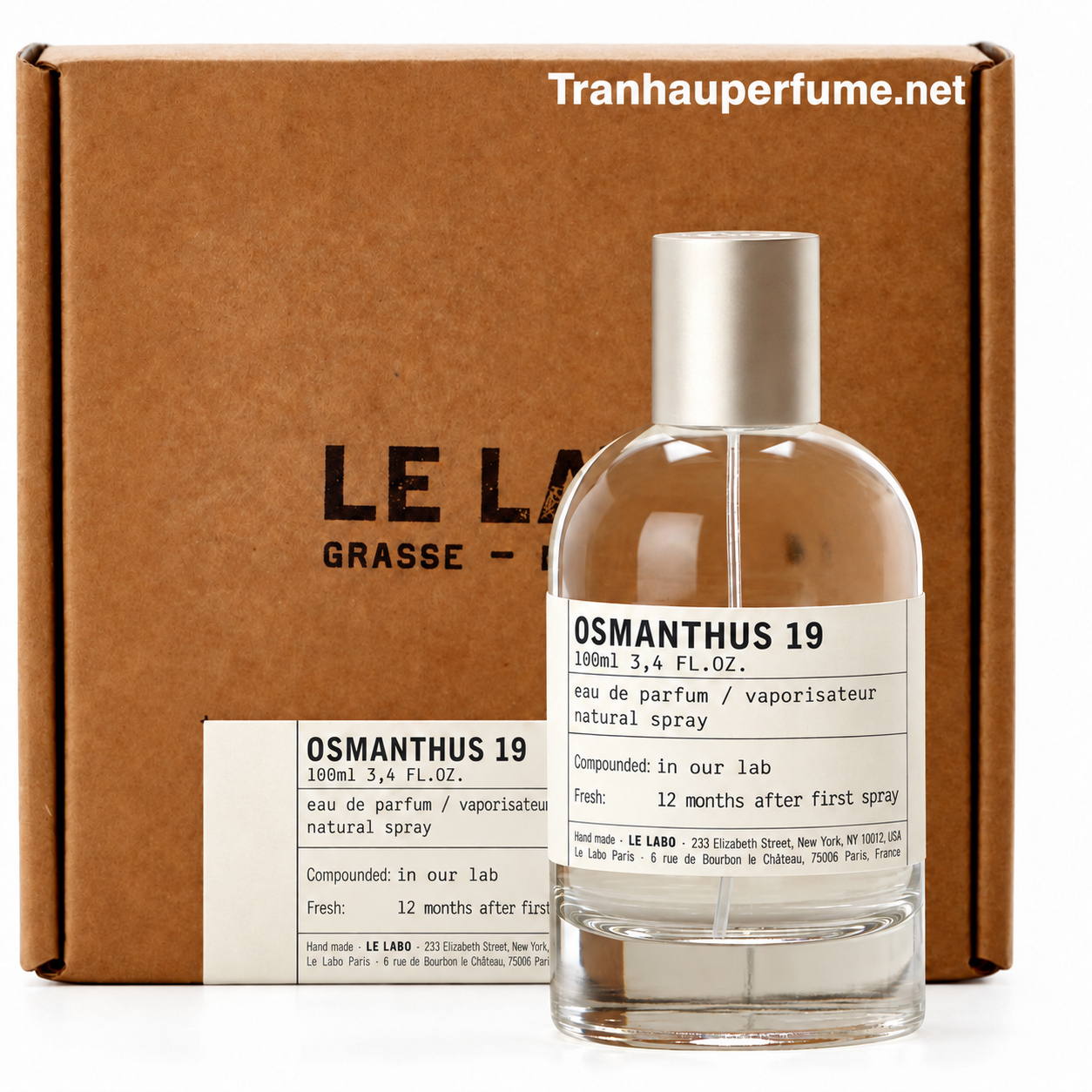 OSMANTHUS 19